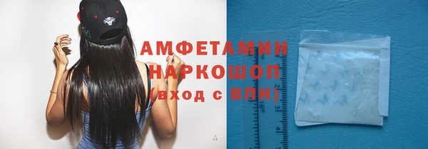 шишки Алзамай