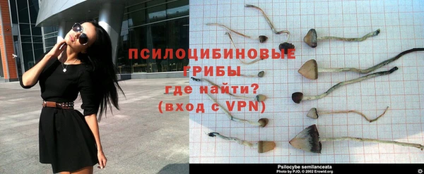 СК Киренск