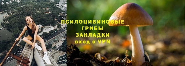 соль ск Алексин